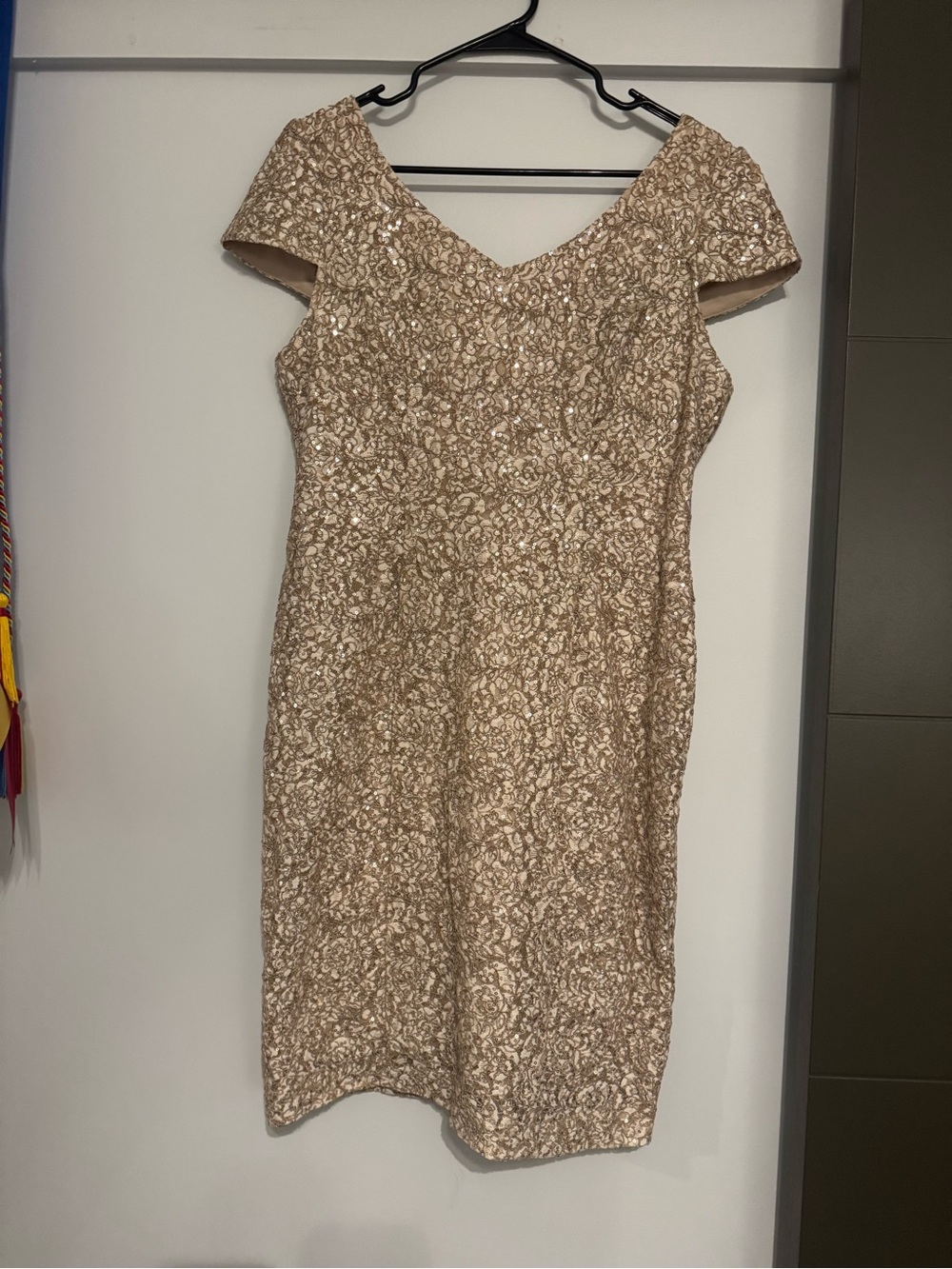 Alex Evenings Champagne Lace Midi Dress
